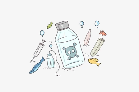 Services